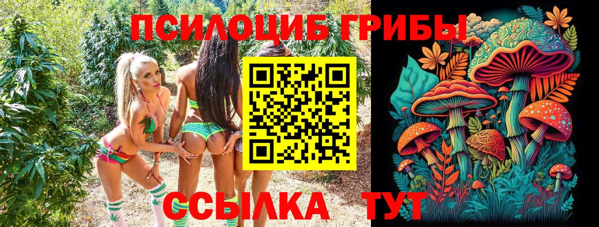 наркошоп  Псилоцибиновые грибы Cubensis  Вход с VPN  Ленинск-Кузнецкий 